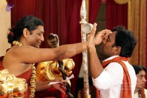 20140724IMG 6606 CMP WM01.jpg