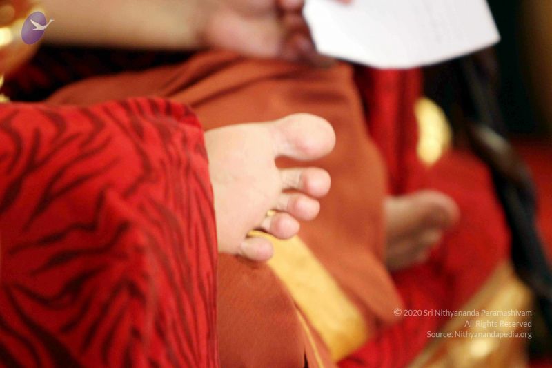 File:20140724IMG 6645 CMP WM01.jpg