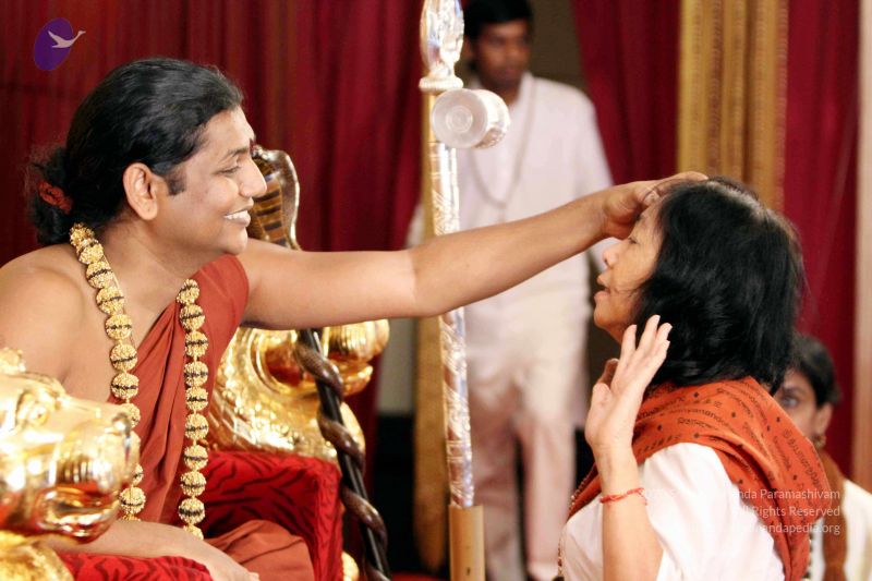 File:20140724IMG 6662 CMP WM01.jpg