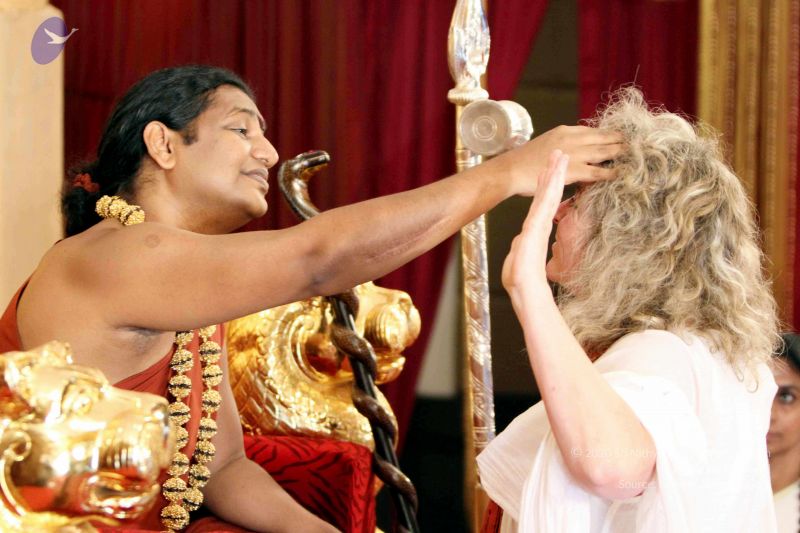 File:20140724IMG 6664 CMP WM01.jpg