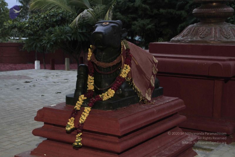 File:20140725 Photo 1020 13XrJ0540-R7nMTdMDKijyuPsozxSP0rZ.JPG