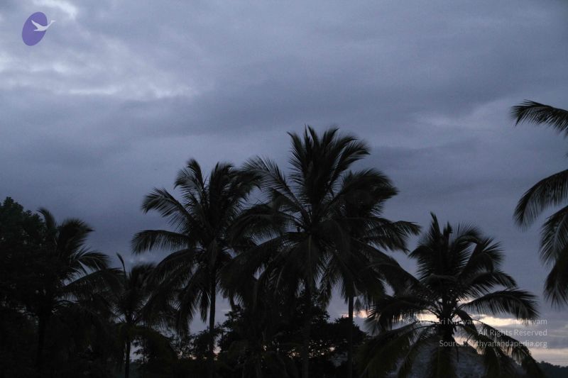 File:20140725 Photo 1025 1LWu1JnULxLohOZN8pSqQkPnnBthq64d8.JPG