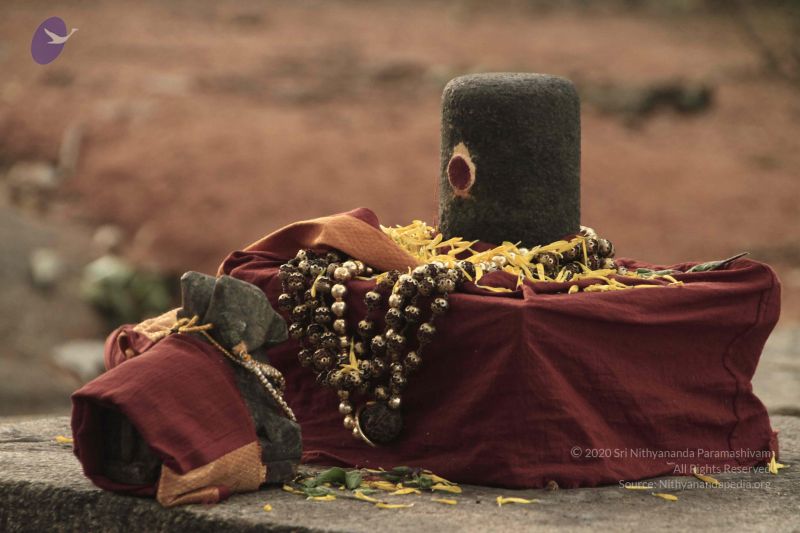 File:20140726 Photo 1026 1cinQLt oMQ1YJHQQg49hykhlN30Y Z6q.JPG