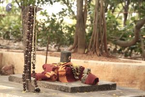 20140726 Photo 1031 1QCH0q1gJFNR31ezXoXvR4i4Haav0s0Fr.JPG