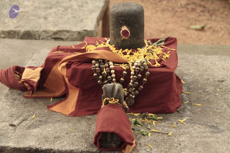 File:20140726 Photo 1033 1DqyGptQ7FrdEb4ALp13T1E6f0VIlS8Oq.JPG