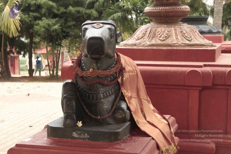 File:20140726 Photo 1065 1-7IUDdCfBsvfthrIDtsGaHjPLt-SxcyI.JPG