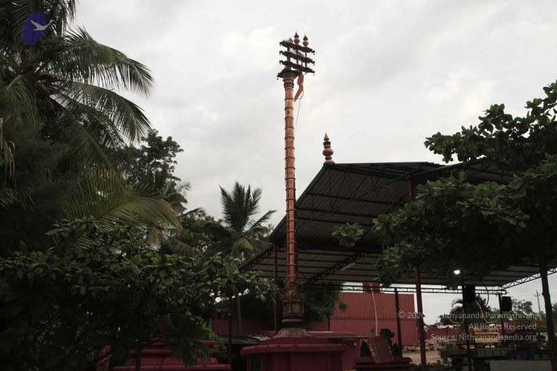 File:20140726 Photo 1066 1s t81CYWklfoAiiiXcv7-ViehLcHF3SW.JPG