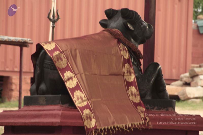 File:20140726 Photo 1067 1EXq4jf5DzQ8kr9vmQp3iMWN6deI3Zn1D.JPG