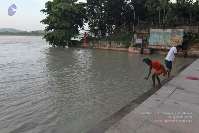 File:20140801 Photo 1369 1f7pVBVgRJH1VjdxqEz7s3SBPx dRoSHB.JPG