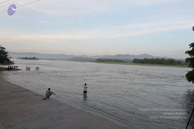 File:20140801 Photo 1375 1WTRZSRpipJOM776CtwPwgno7f8lkL-fr.JPG