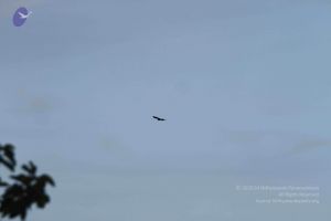 20140801 Photo 1408 18mCr6On1J60awGab2eEMcTKrbbI Gqh7.JPG