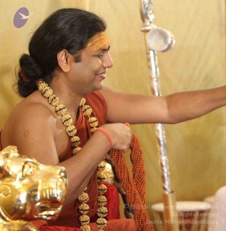 20140802 Photo 1160 1sw7NEfmh05g4W8NctFNSzNYGddt 4gI2.JPG