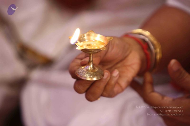 File:20140804 Photo 114 1JxV0fZ0C9OVYlE6dWMDFQFZpCmBpmiec.jpg