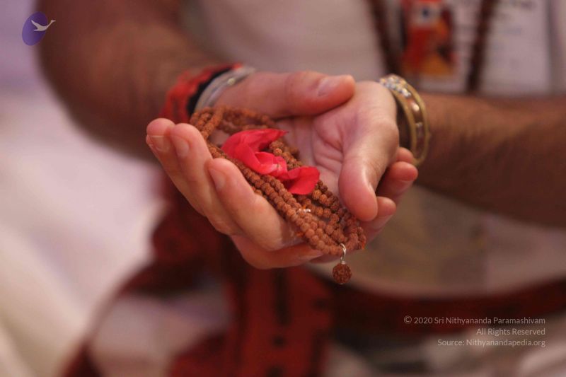 File:20140805 0980 CMP WM.jpg