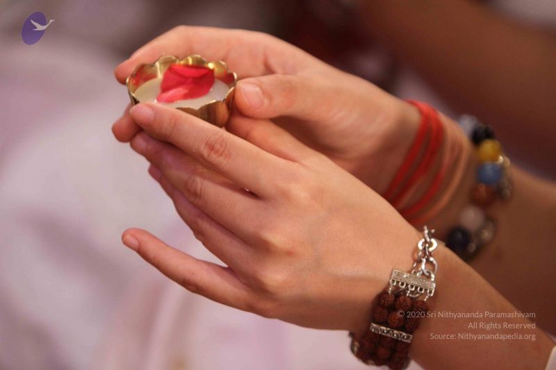 File:20140805 0994 CMP WM.jpg