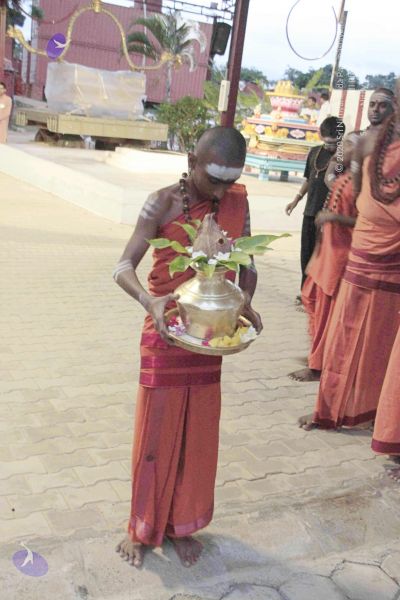 File:20140805 3202 CMP WM.jpg