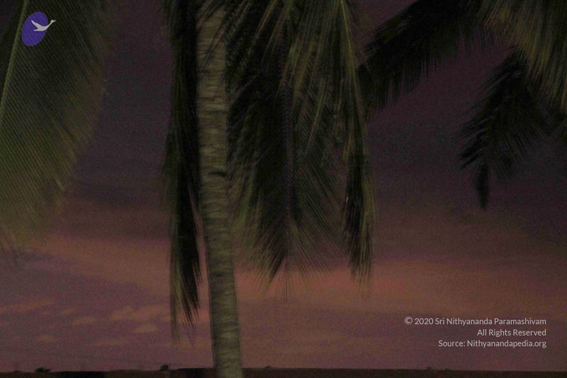 File:20140805 3221 CMP WM.jpg