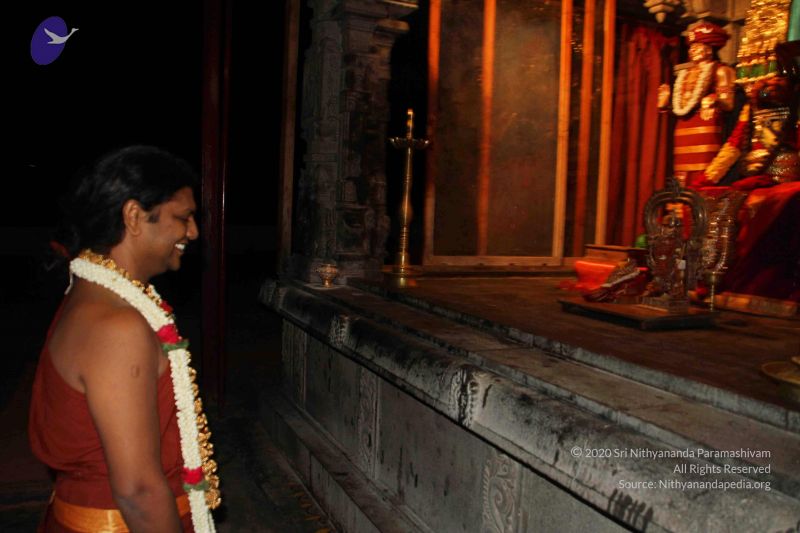 File:20140805 3238 CMP WM.jpg