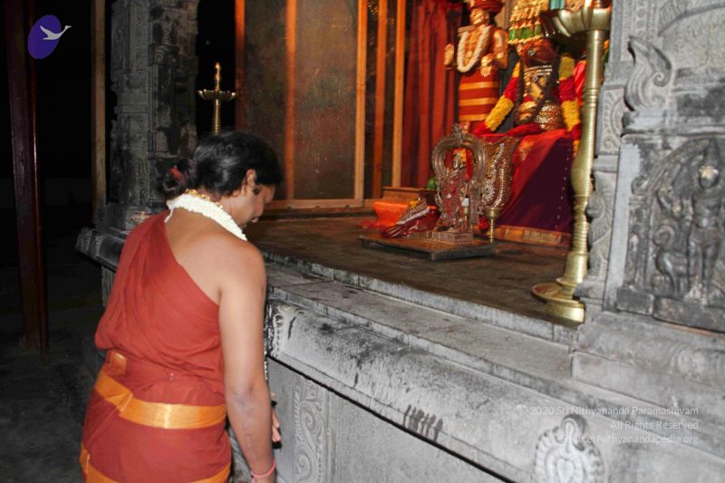 File:20140805 3240 CMP WM.jpg