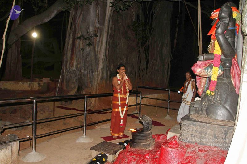 File:20140805 3254 CMP WM.jpg