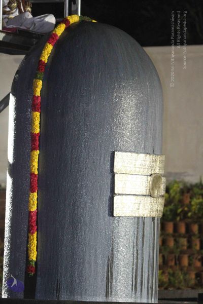 File:20140811 Photo 1029 1O478-Tgf1tDAlYqyEXhlgkscaQA4Y1rh.JPG