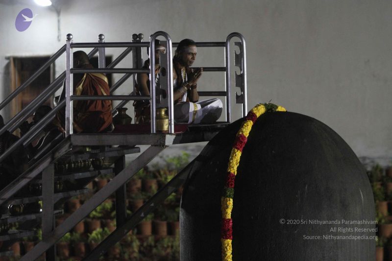 File:20140811 Photo 1041 1CQnlQky-FFyN9MiawrVjd85lcm6Lebfz.JPG