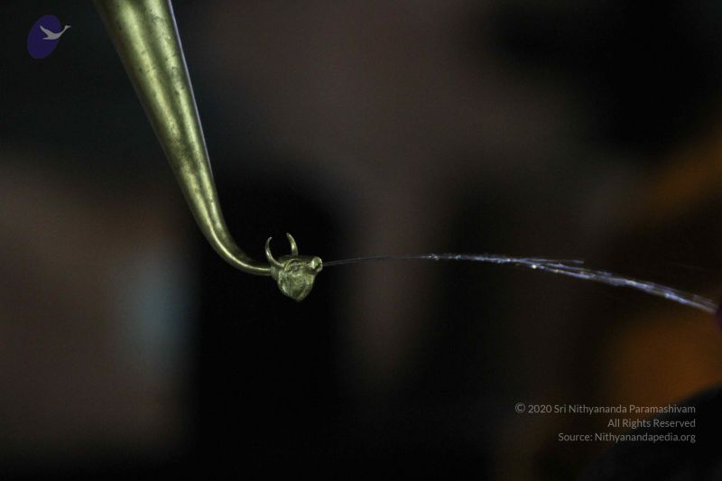 File:20140811 Photo 1051 1t-MhXmWmLllQY9POogf6HzYtVv3lAmwL.JPG