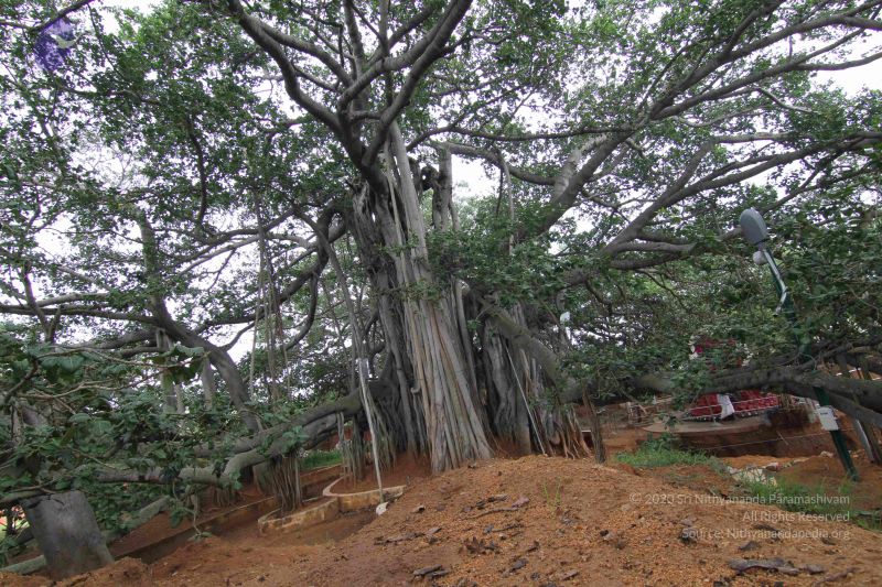 File:20140812 Photo 1001 1kXu8Gol3xLnvN0zkUfxdHT4ASWBR9lf0.JPG