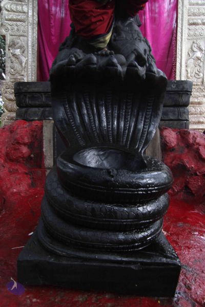 File:20140812 Photo 1002 1a9bCZVDfaUSdcLPzs112Q6gDBr7SsuMM.JPG