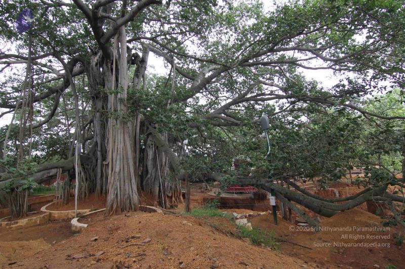 File:20140812 Photo 1003 15dH-YoE6QKaGbNFkGAaWnJ5xG5OBq0eO.JPG