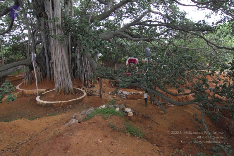 File:20140812 Photo 1006 1nVKH-Wjtt0o-5y0dIrw2ZVJuDRnjxTUO.JPG