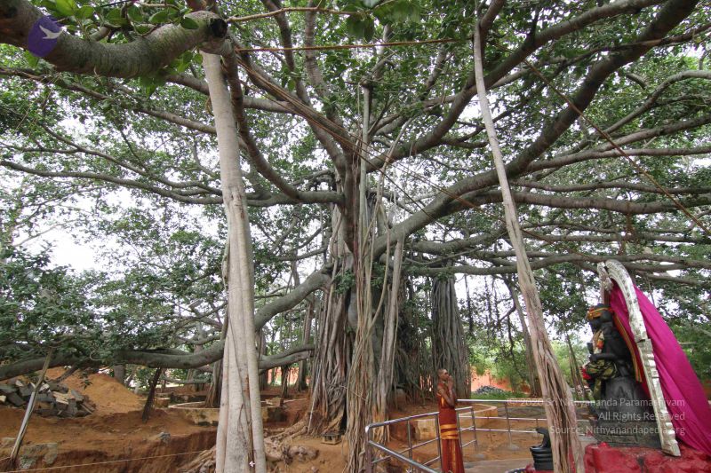 File:20140813 Photo 1014 1fOBP7XWm1DsNZEJKcNJci8Gxx4IO6pg5.JPG