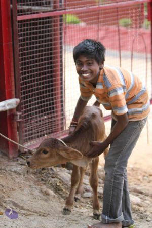 20140815 Photo 1048 1teqrBojx4A-16JaTWlR-bV3QV-6guGV3.JPG