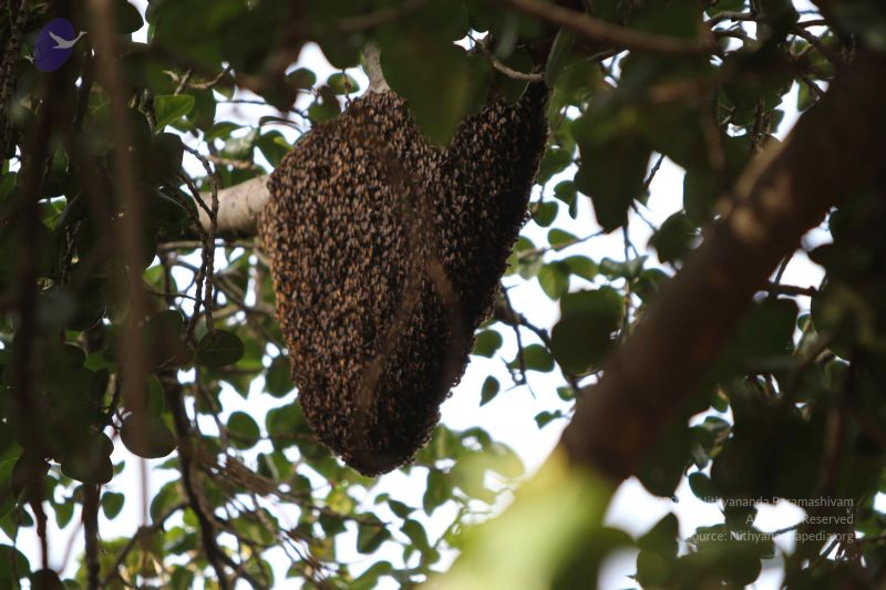 File:20140815 Photo 1093 1NowJQktkqaj4n5bjuHDffaeFnOKlfIzY.JPG