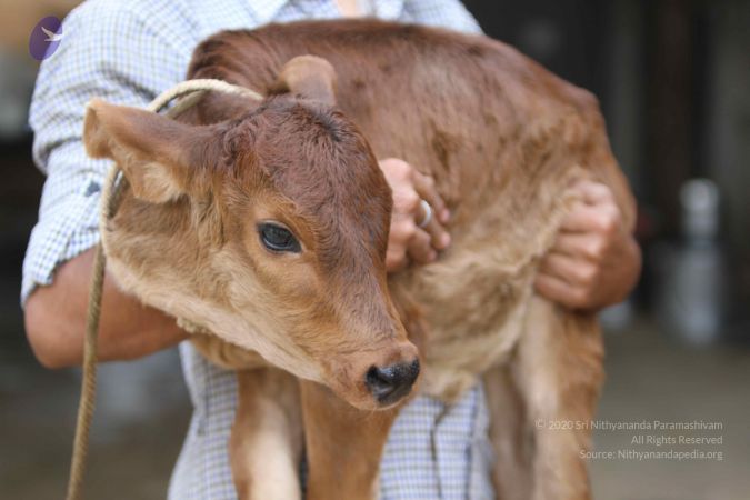 20140815 Photo 1108 1-FborWp-nmD1cap4pbe6yJ4sYyDTuIPh.JPG