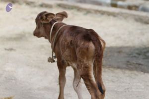 20140815 Photo 1109 1zLIP2SNXMDXttYtmLvsfkNm6zzdJaUnv.JPG