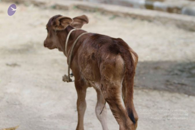 20140815 Photo 1109 1zLIP2SNXMDXttYtmLvsfkNm6zzdJaUnv.JPG