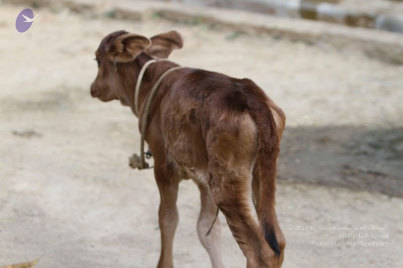 File:20140815 Photo 1109 1zLIP2SNXMDXttYtmLvsfkNm6zzdJaUnv.JPG