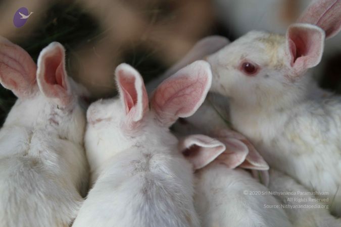 20140815 Photo 1113 17IoQBDkAjNioXPg9RqBIXK4f0O3jrWGc.JPG