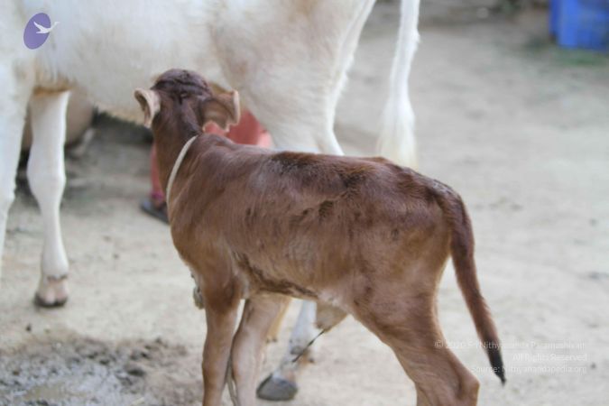 20140815 Photo 1117 1oY-kcraXZvbbWob8yoY7MbDhAK vlBsZ.JPG