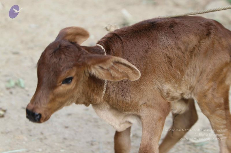 File:20140815 Photo 1120 1NYqYFa8Cc2ntFBx4K2j4XjVYF1HtSMkm.JPG