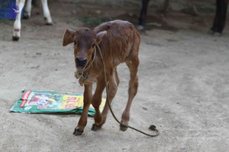 File:20140815 Photo 1123 1ptHk6w2M7PVc5KKrp oEAN5thMSLd6fu.JPG