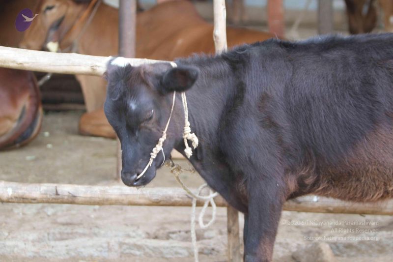 File:20140815 Photo 1127 12TXVqLkHL IX4eDnMUbFvZ-mynCvnWav.JPG