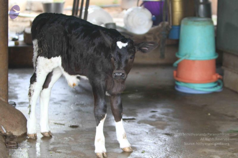 File:20140815 Photo 1129 19TRcFxOqd5U3uC0APbS4PAR GfzvuASX.JPG