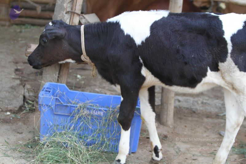 File:20140815 Photo 1138 1BqfY-TE1TcMP28aNGF-v0Ze mQpBwiYV.JPG