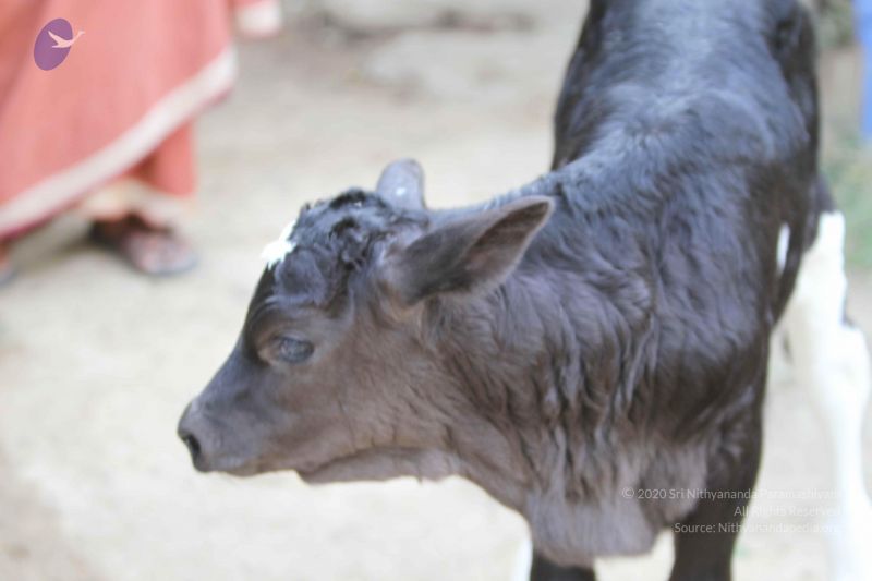 File:20140815 Photo 1144 15qqNa8affUSf8PBj3YLeR8yw uIXDh-T.JPG