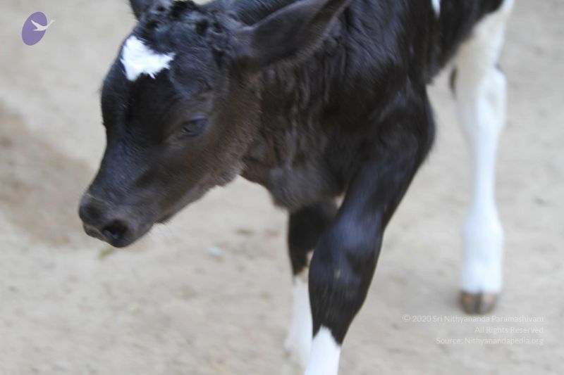 File:20140815 Photo 1145 1ndCOAtGiLRD4b2LMHqGMsSXcUGpWO5-n.JPG