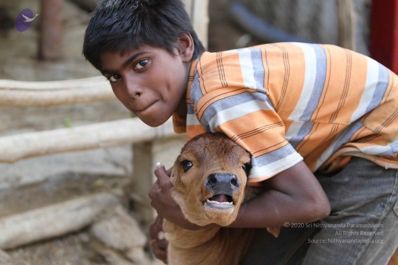 File:20140815 Photo 1147 12NKUNRSMZuDOgoxrwYuYMRYWcHRcIREe.JPG