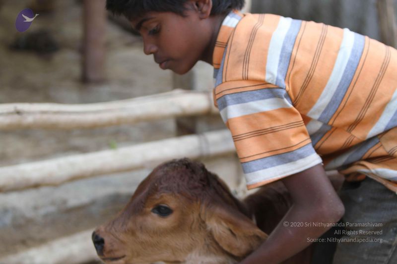 File:20140815 Photo 1148 19fbk8rrrPP5KrIh1ZAYfX0giM6BNn-nr.JPG