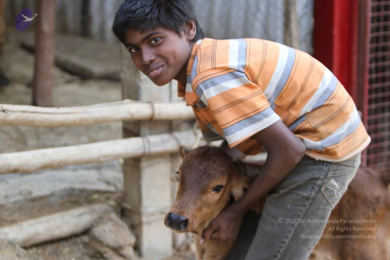 File:20140815 Photo 1150 1dU4CKxD2WnKc6FNS70ycG wvqk8JK2Es.JPG